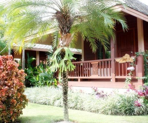 Pai Herbs Resort Cameră foto